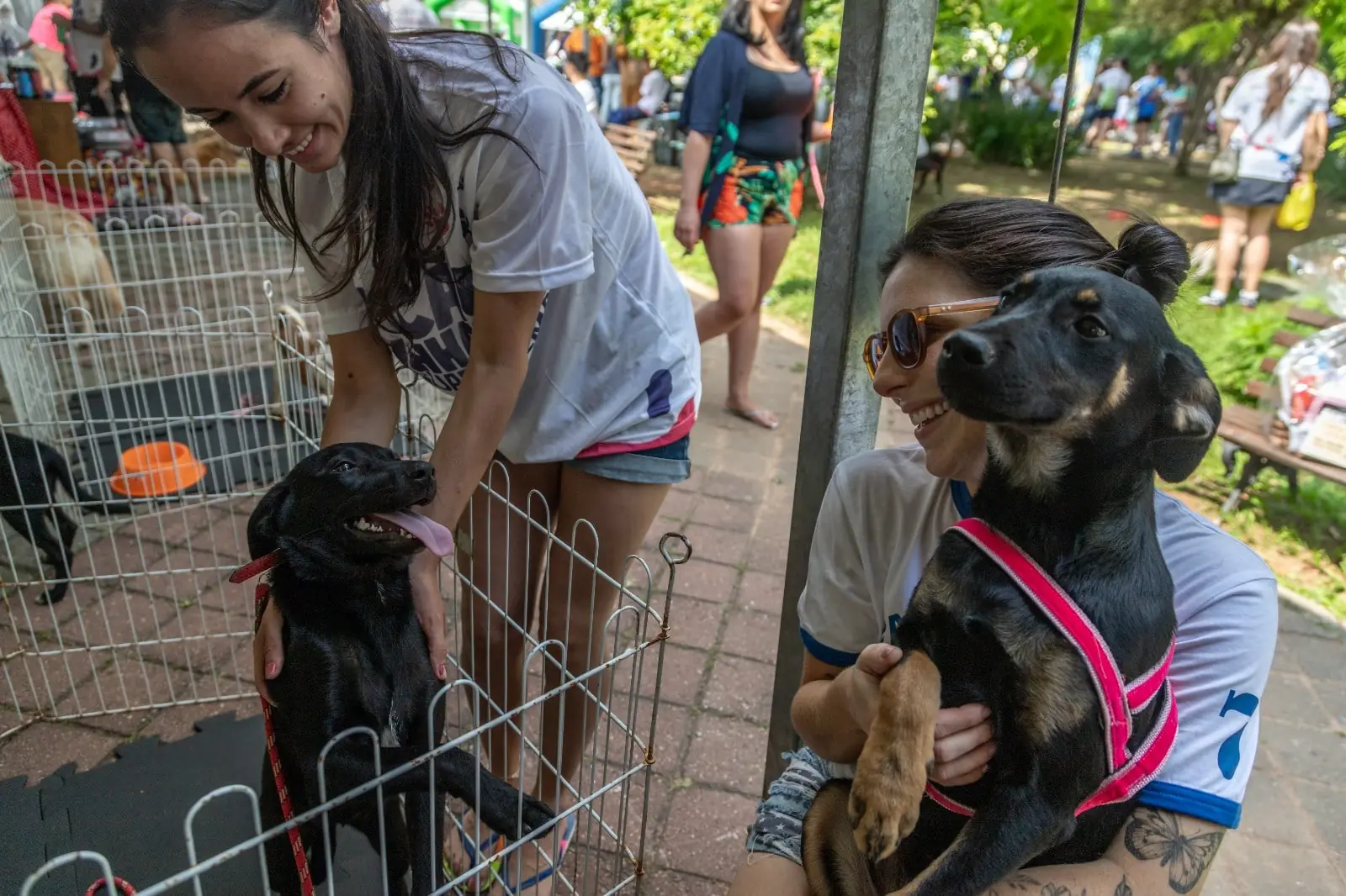Guarema divulga evento com atividades ambientais e adoção de animais