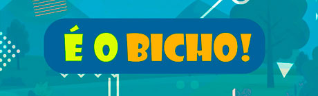 Banner Mobile