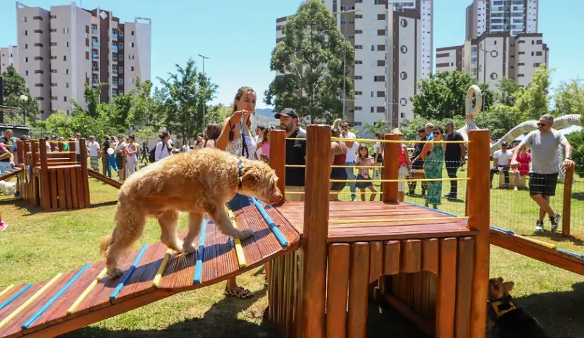 Playground para cães é inaugurado em Mogi das Cruzes