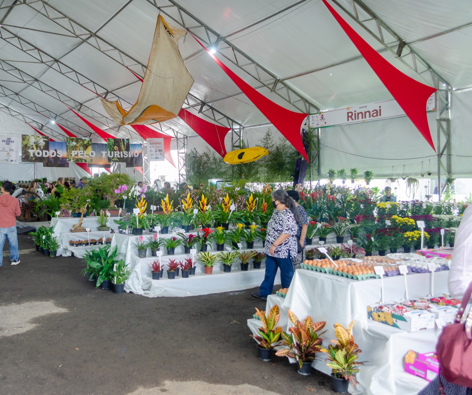 Pavilhão Agrícola do Akimatsuri terá os melhores produtos de hortifrutigranjeiros do Alto Tietê