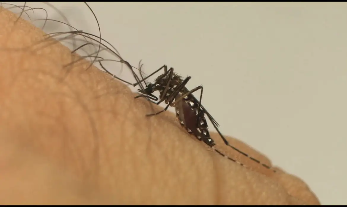 Homem de 89 morre e Mogi chega a 15 mortes por dengue