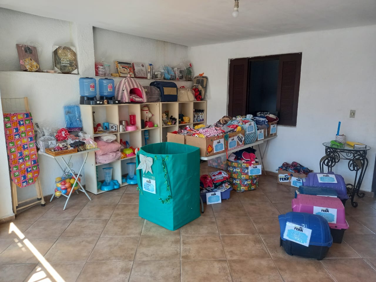 ONG Fera realiza brechó de produtos para pets neste fim de semana