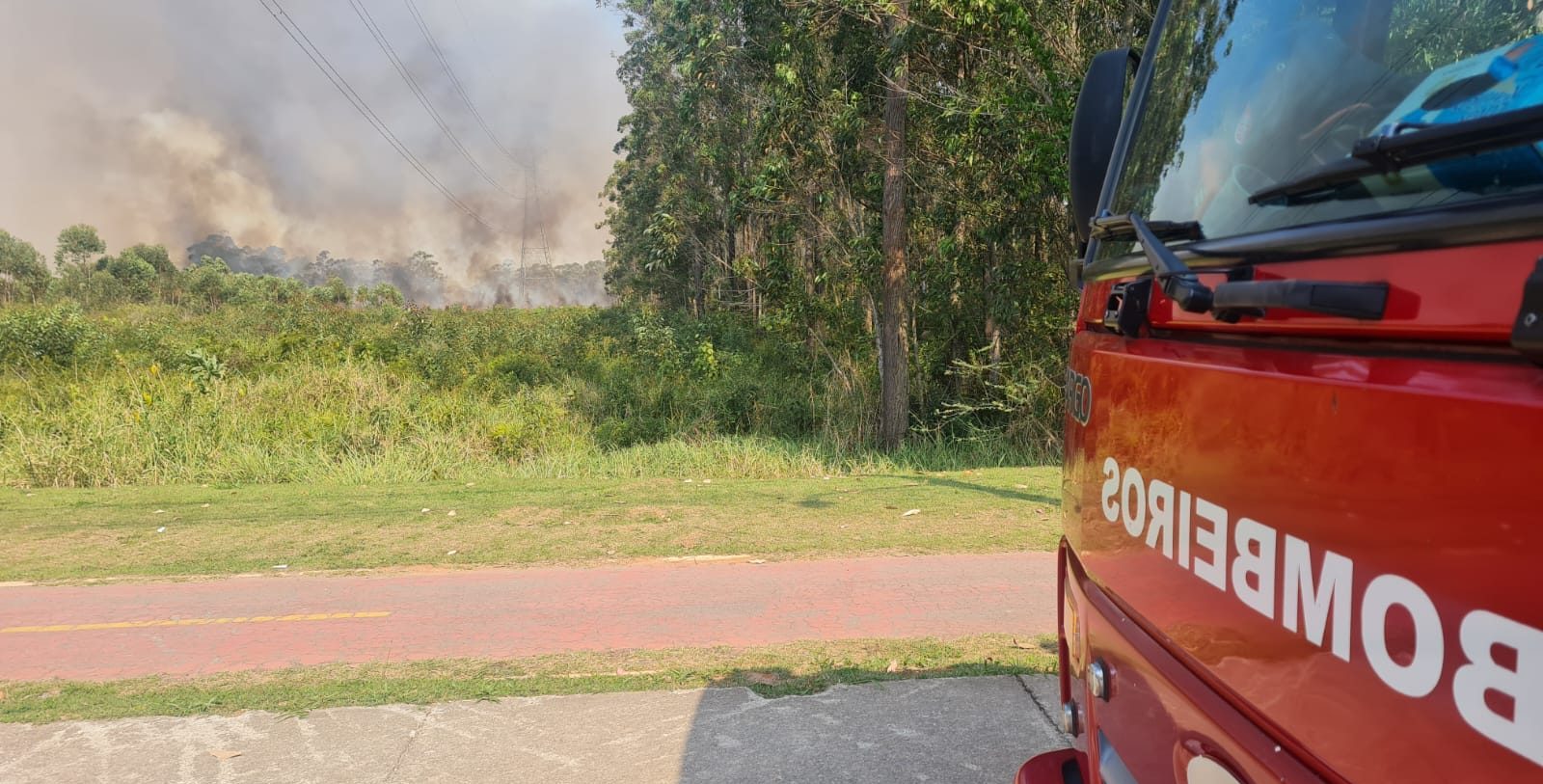 Bombeiros controlam grande incêndio em área de preservação em César de Souza; veja vídeo