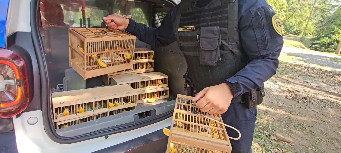 Guarda Ambiental de Itaquá apoia resgate de 42 pássaros que seriam vendidos ilegalmente