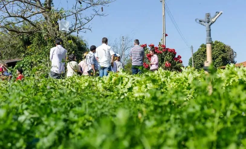 Mogi das Cruzes recebe “Encontro de Agronegócios” pela Sebrae-SP Alto Tietê