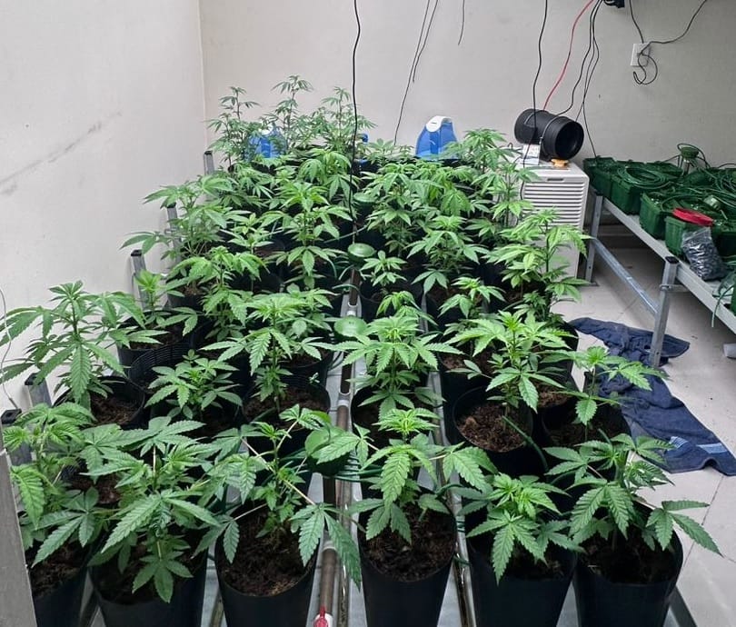 Policiais descobrem laboratório de drogas e prendem 9 em operação no Alto Tietê