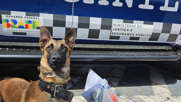 Operação em Suzano realiza prisão por tráfico e localiza 3,2 quilos de drogas