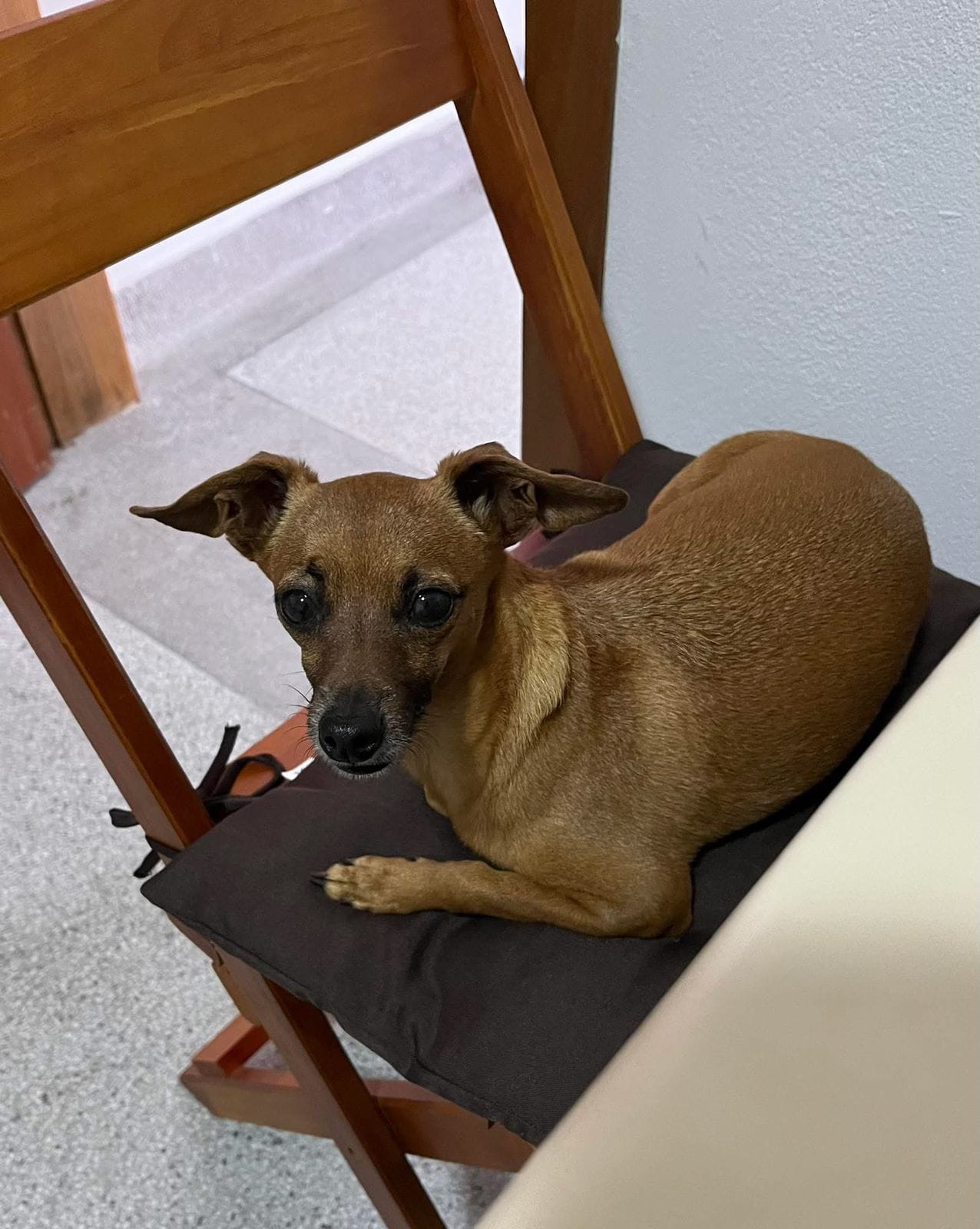 Foto do Carrosel