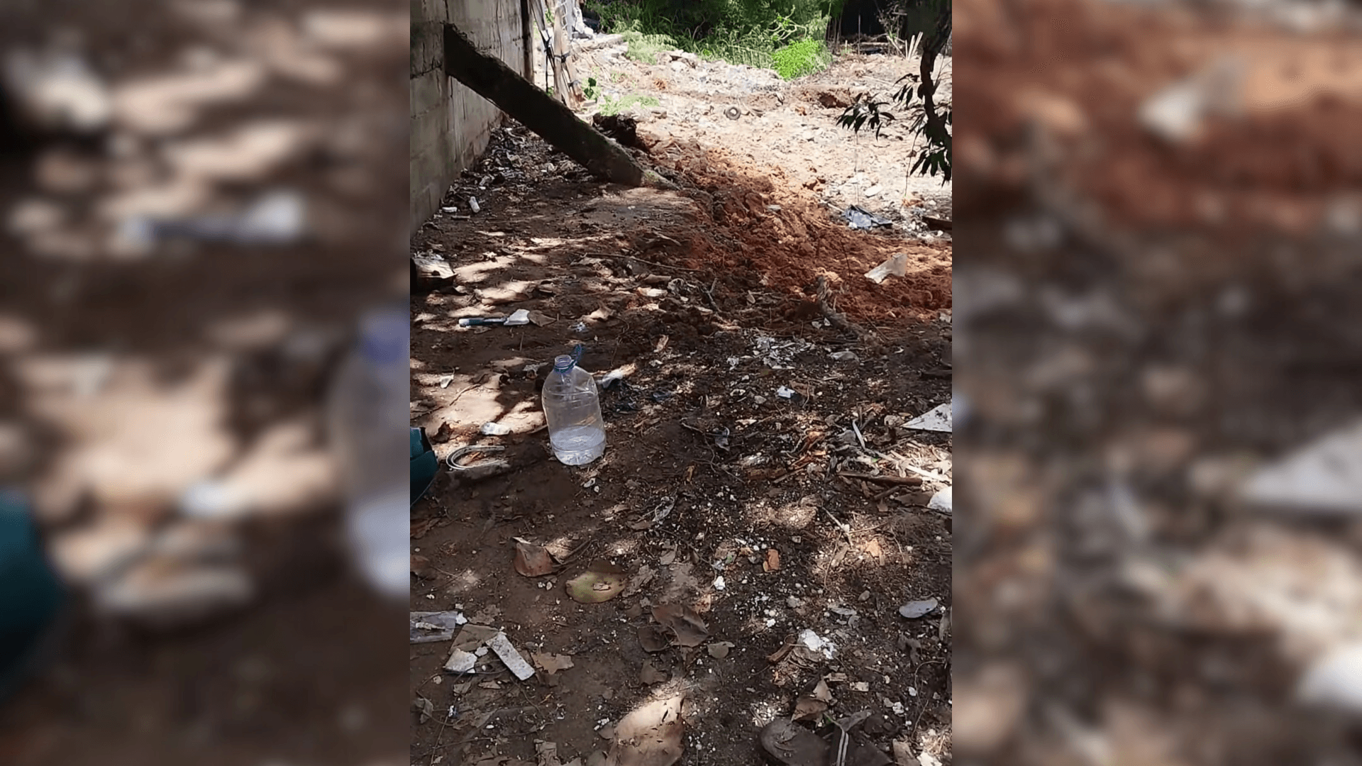 Prefeitura de Mogi abre sindicância para investigar se houve soterramento de animais em desocupação