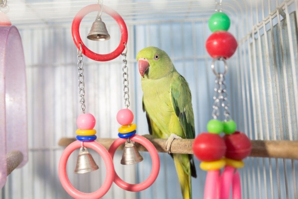 Ave dentro de uma gaiola com briquedos 