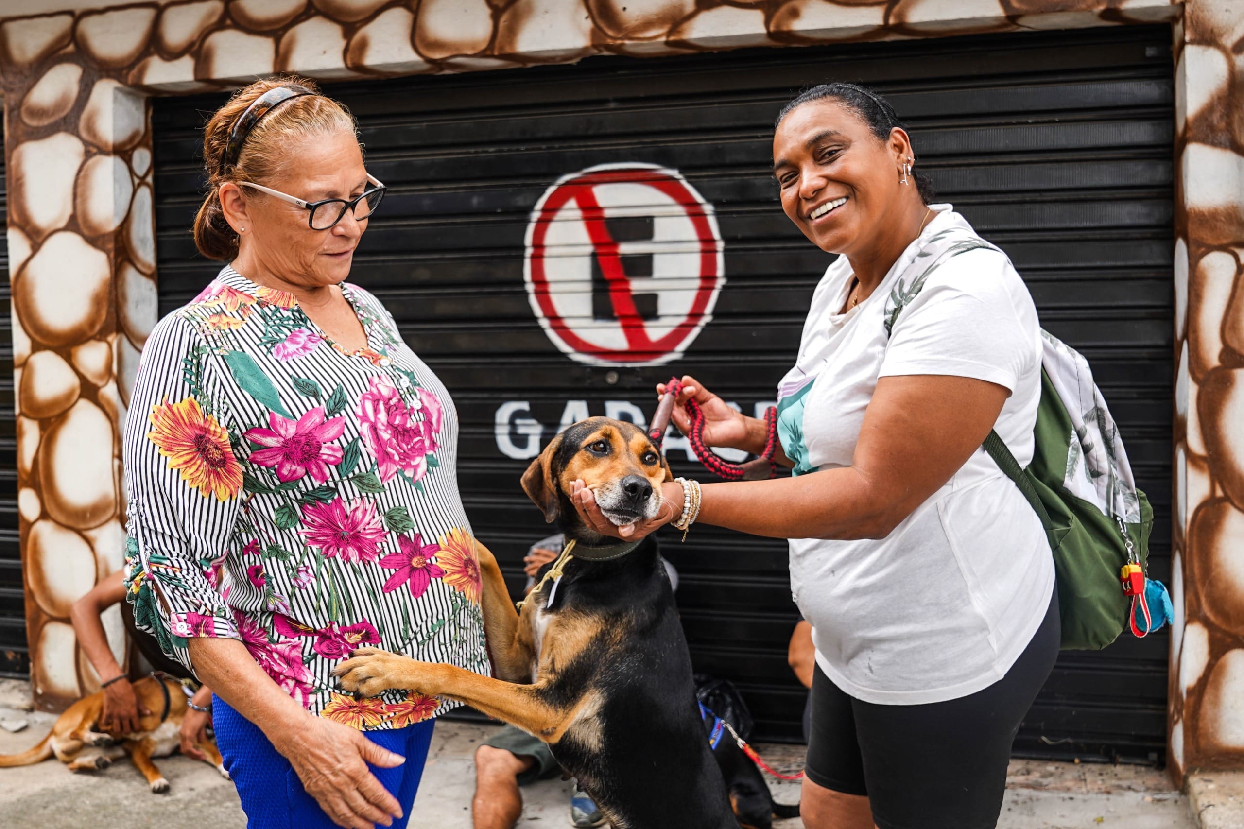 Ferraz abre inscrições para castração gratuita de cães e gatos nesta quarta-feira