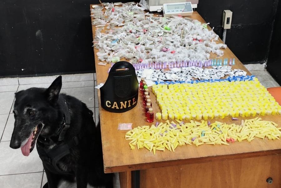Cão farejador ajuda GCM a encontrar três quilos de drogas