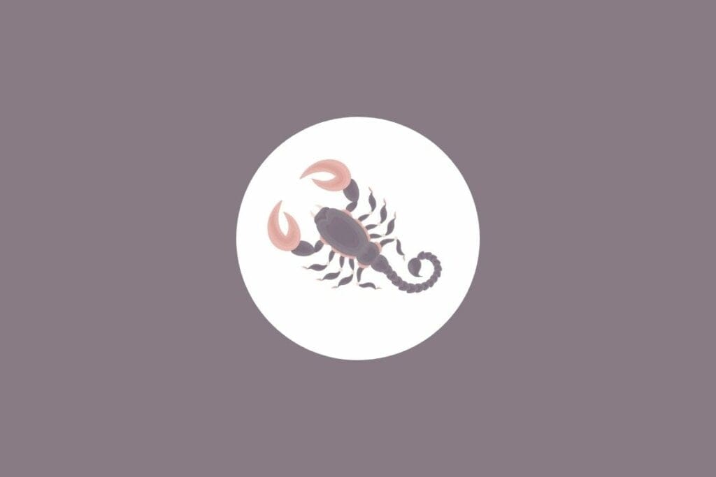 Ilustração de um escorpião em um círculo branco sobre um fundo marrom-claro