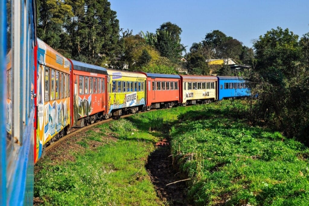 Imagem de vagões coloridos passando em trilho de trem em meio a natureza