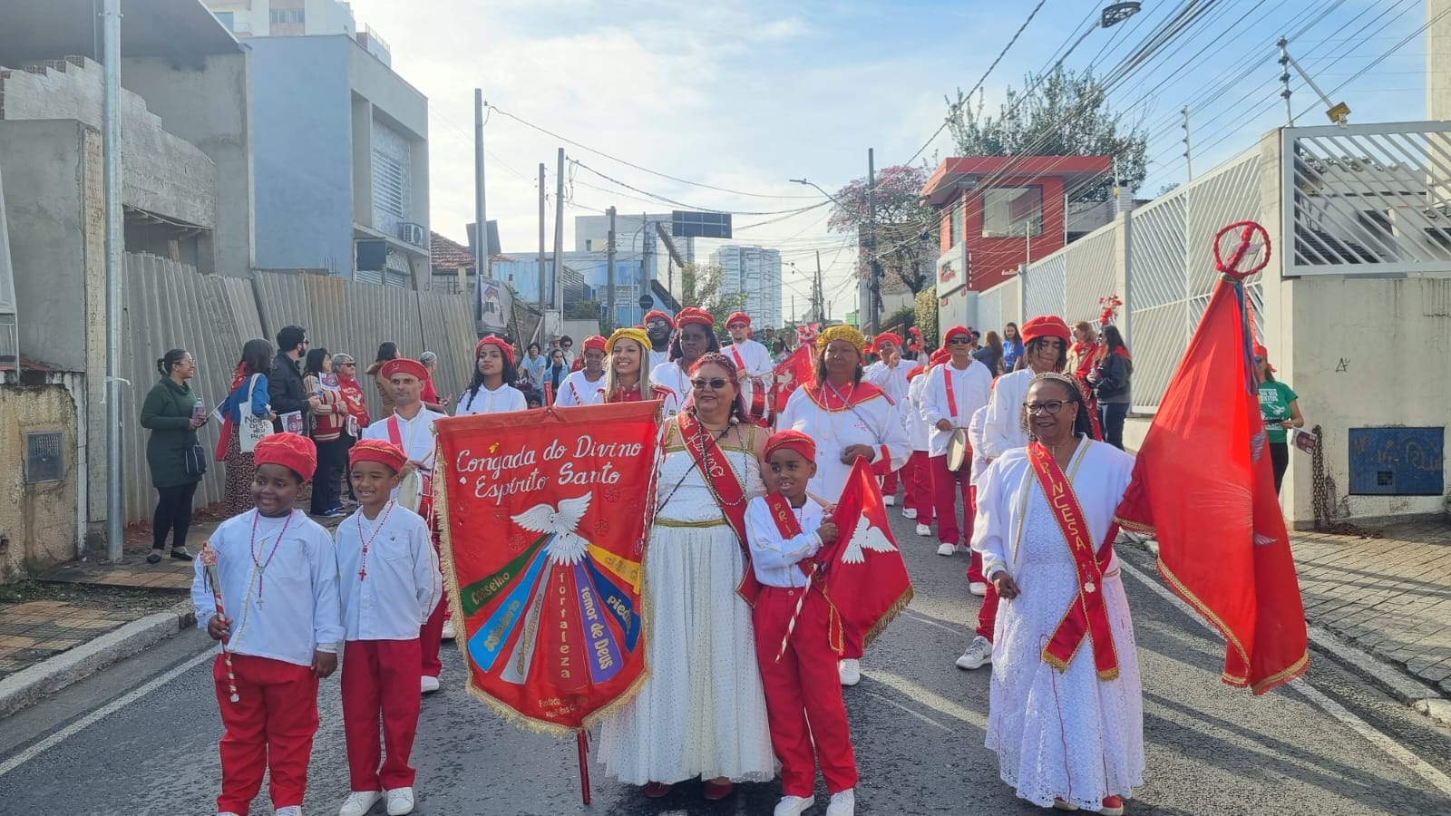 Veja fotos e vídeos da Entrada dos Palmitos da Festa do Divino de Mogi das Cruzes