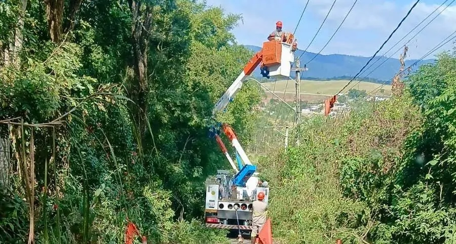 Região rural de Mogi recebe mutirão de poda de árvores próximas da rede elétrica