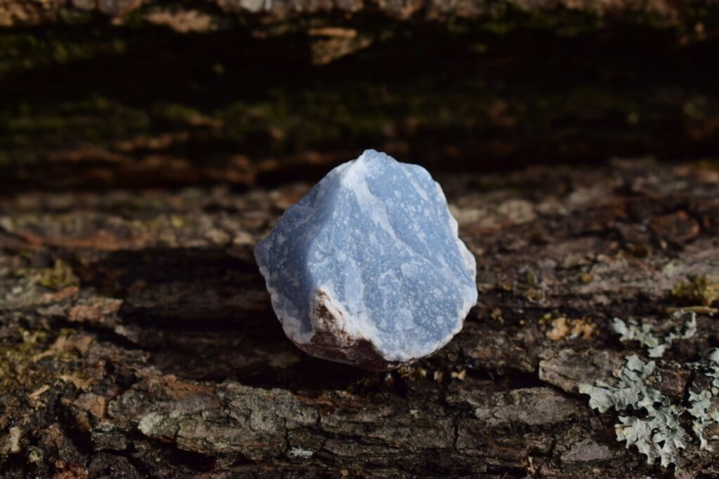 Cristal angelita em tons de azul em cima de árvore