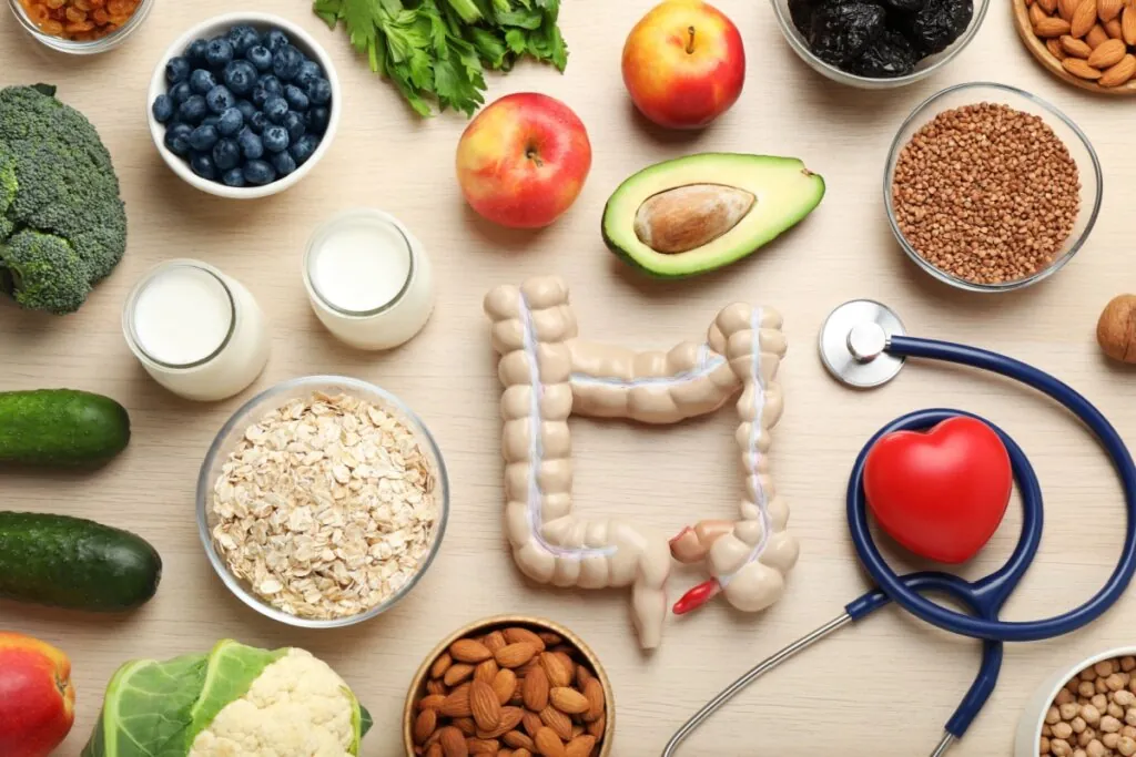 alimentos em volta de intestino, como aveia, abacate, iogurte, sementes, entre outros