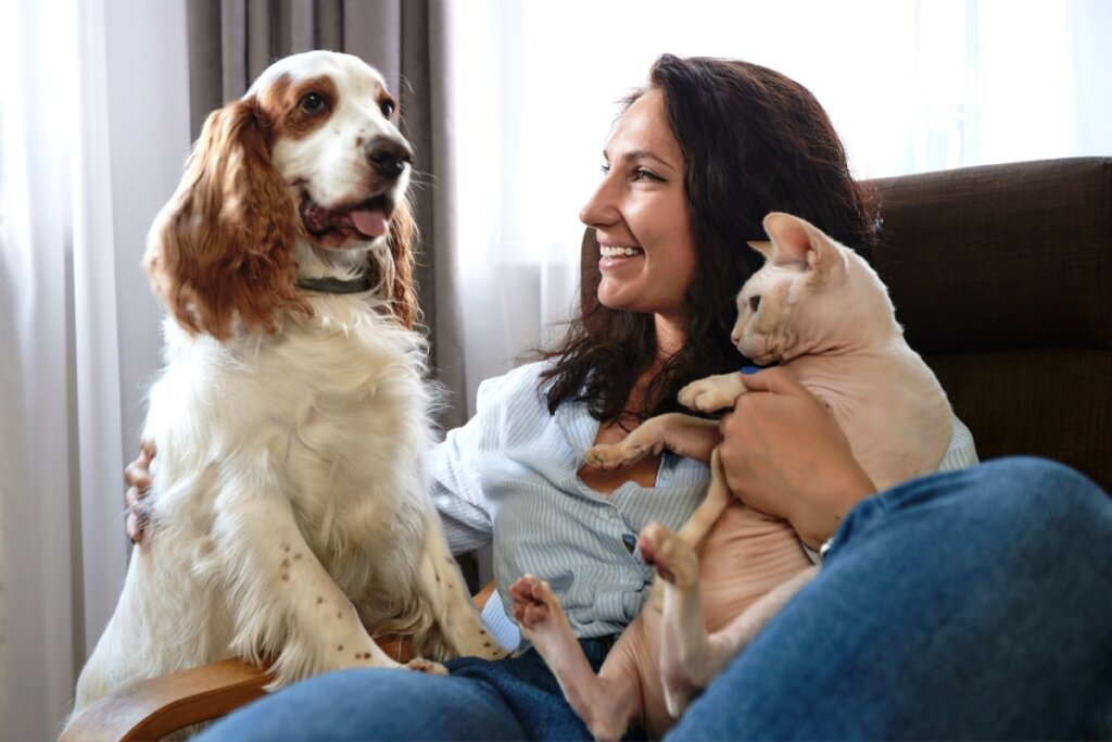mulher sentada, sorrindo, segurando gato sem pelos e olhando para cachorro ao lado dela