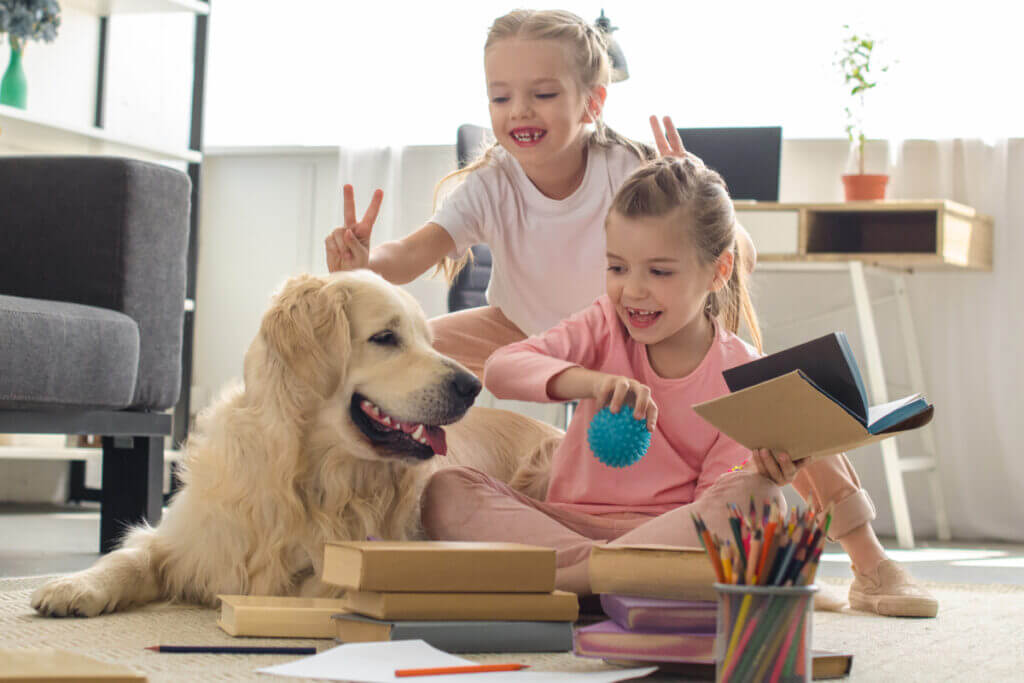 6 dicas essenciais para famílias que pensam em adotar um pet