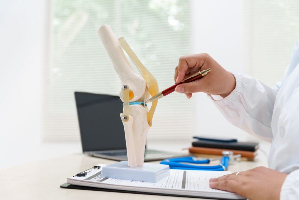 Mão de uma pessoa segurando uma caneta e apontando para a anatomia da articulação de um joelho 