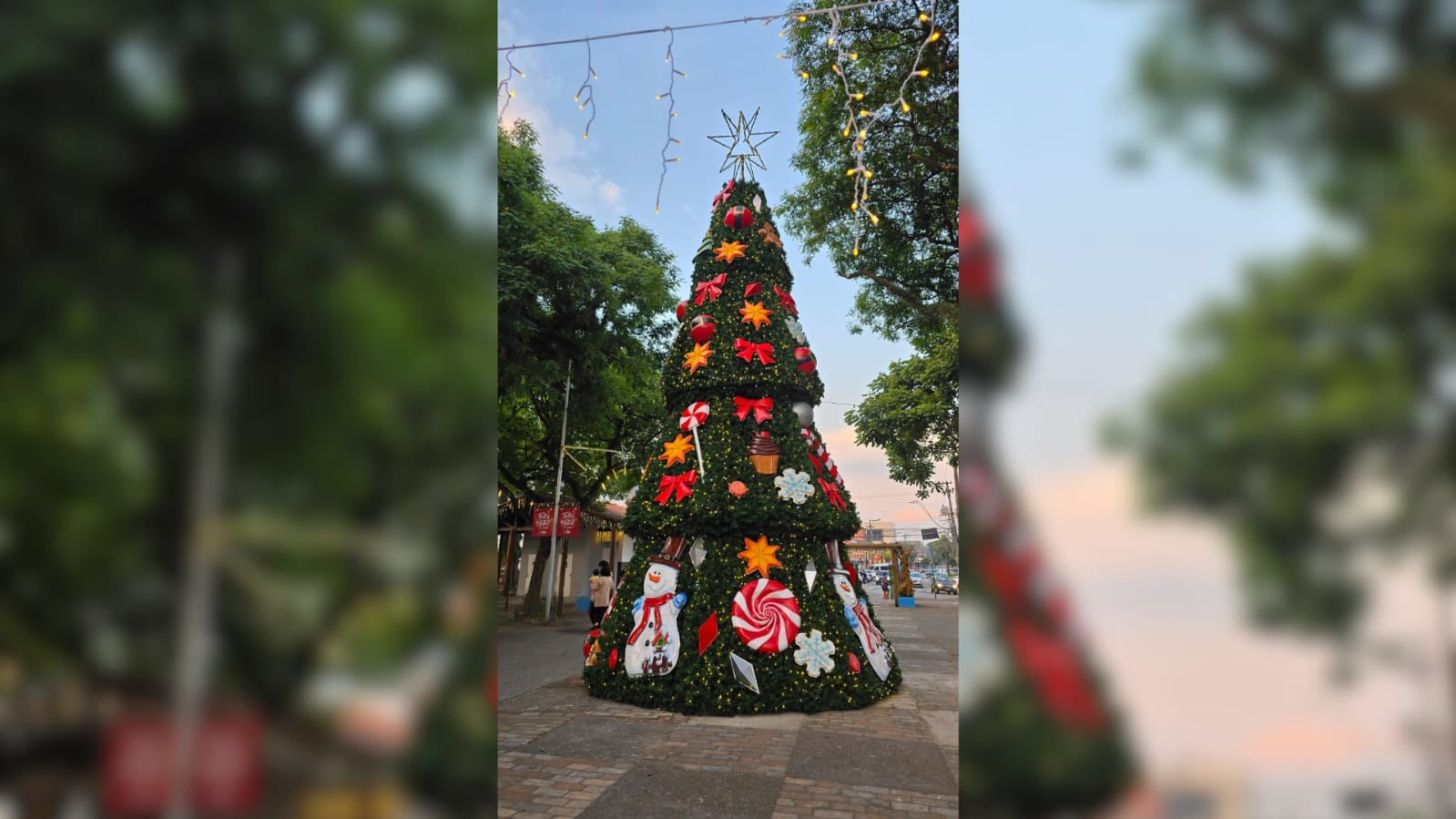 Poá abre Estação Natal 2025 neste sábado, com 'maior árvore da história' da cidade e trem natalino