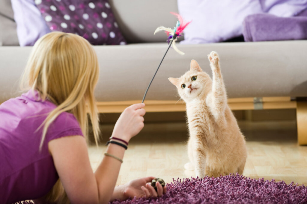 Como cuidar do pet com a rotina corrida: 7 dicas essenciais
