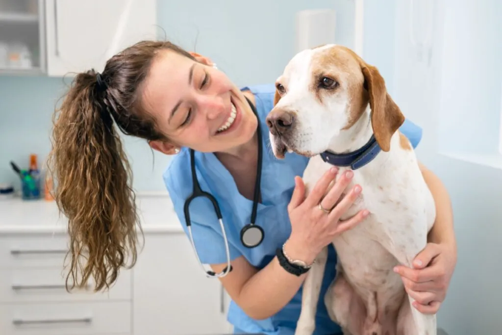 veterinária de roupa azul e rabo de cavalo sorrindo ao lado de cachorro branco e marrom