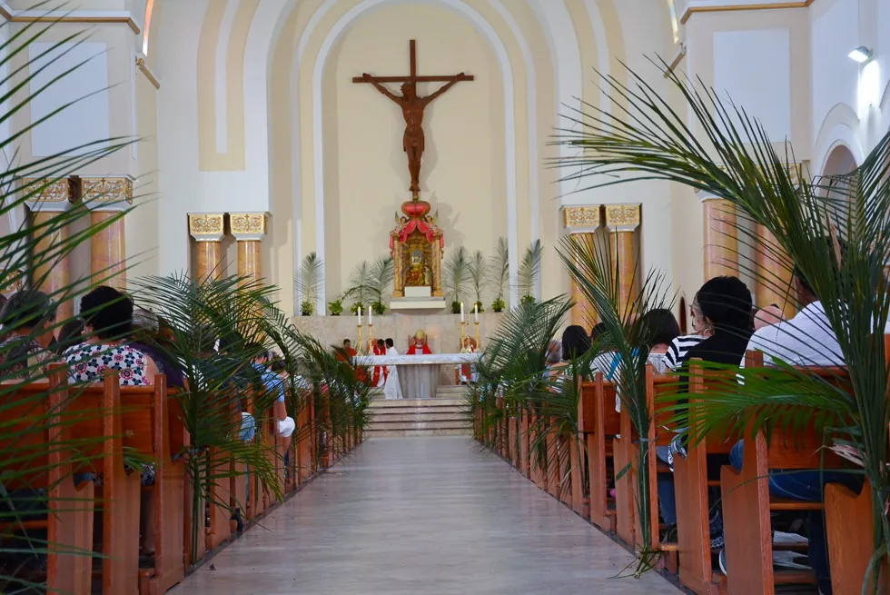Domingo de Ramos será celebrado com procissão e missas na Catedral de Mogi das Cruzes