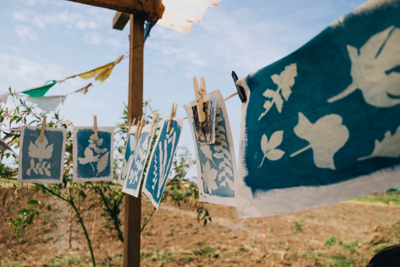 Instituto 'Bust a Move', em Mogi das Cruzes, abre inscrições para curso gratuito de fotografia