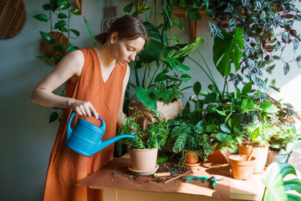 Mulher regando plantas em cima de uma bancada 