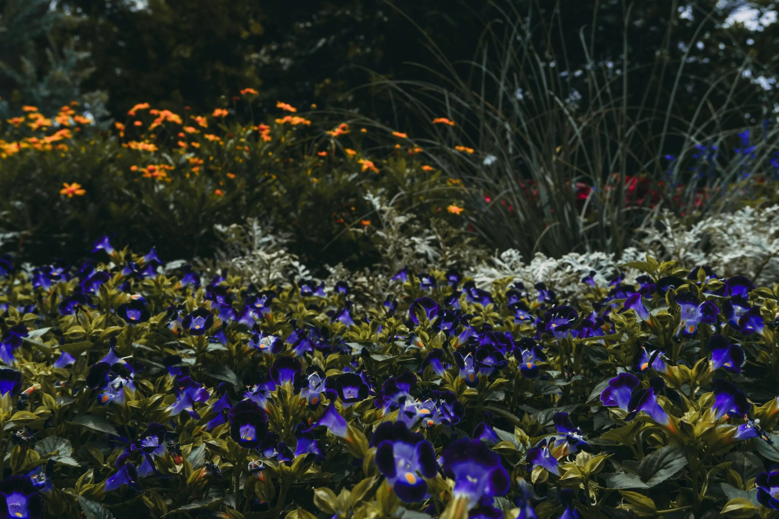 Façamos da nossa vida um jardim