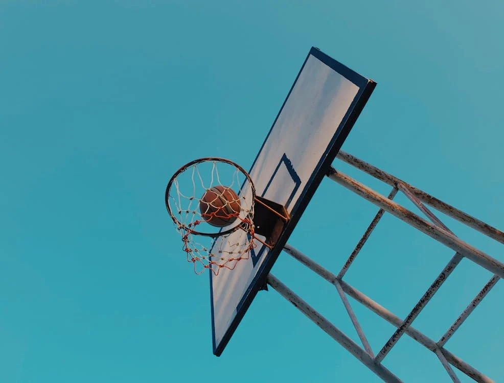 Mogi Basquete: a trajetória do Paulista histórico ao Sul-Americano