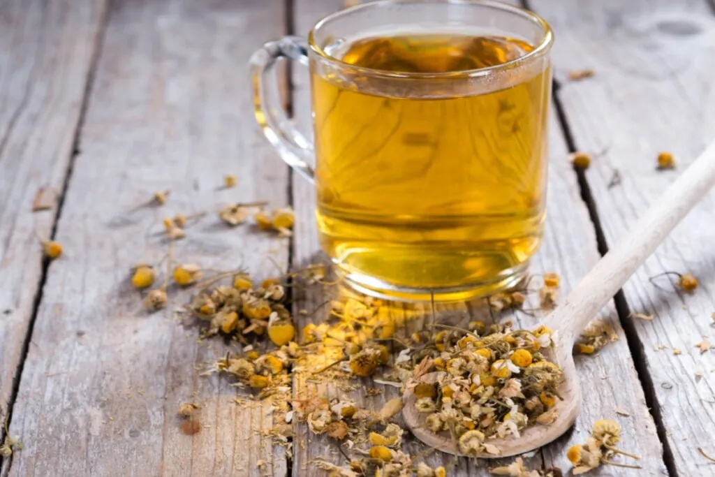 Chá de boldo ajuda na digestão? Veja 6 receitas e como usar