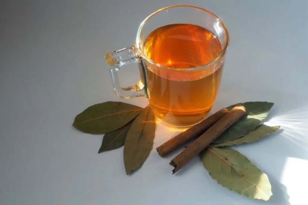 Chás com canela: 7 receitas termogênicas para incluir na dieta