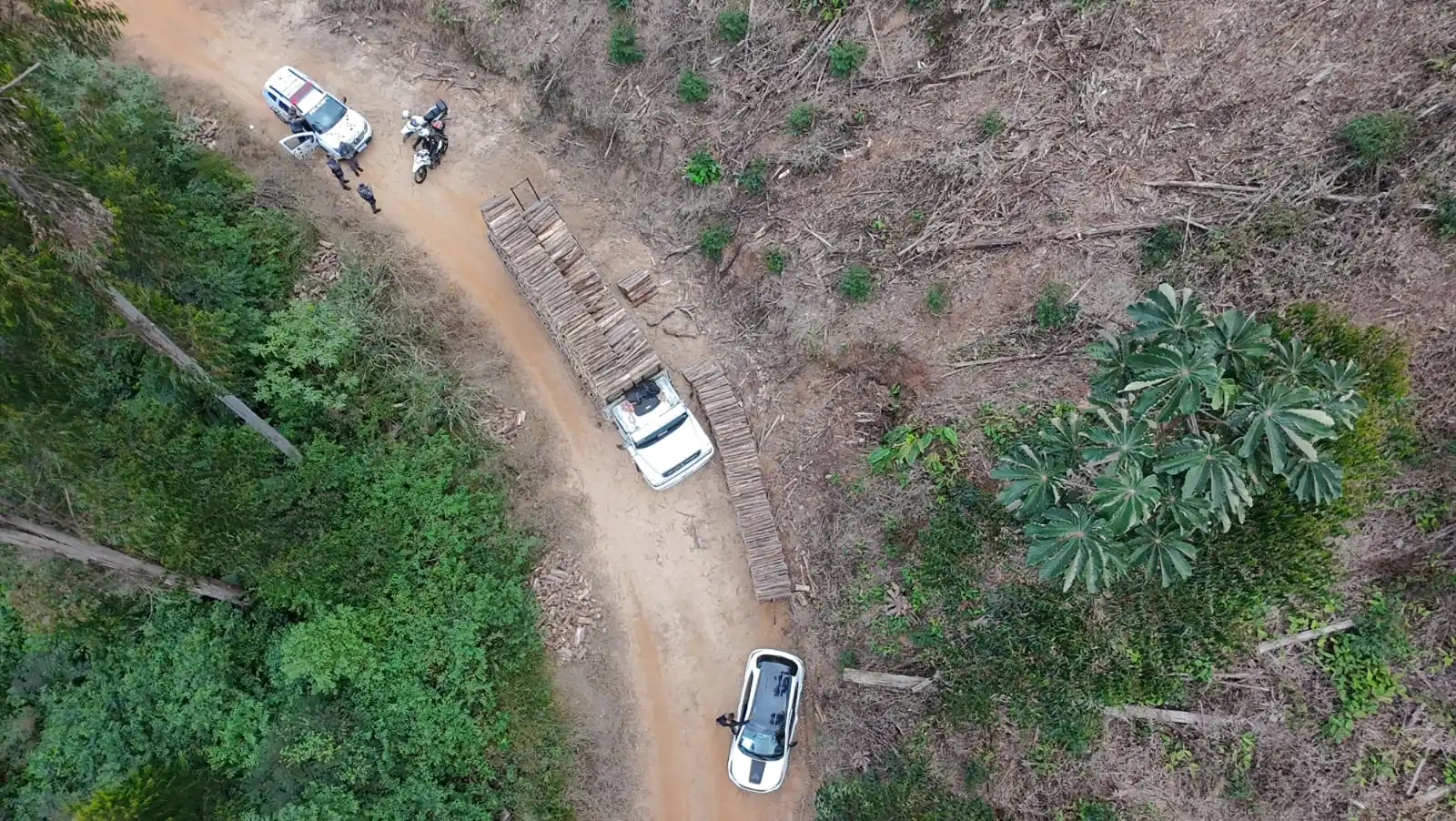 PM impede furto de R$ 4,5 mil em madeira e detém dois suspeitos em Guararema