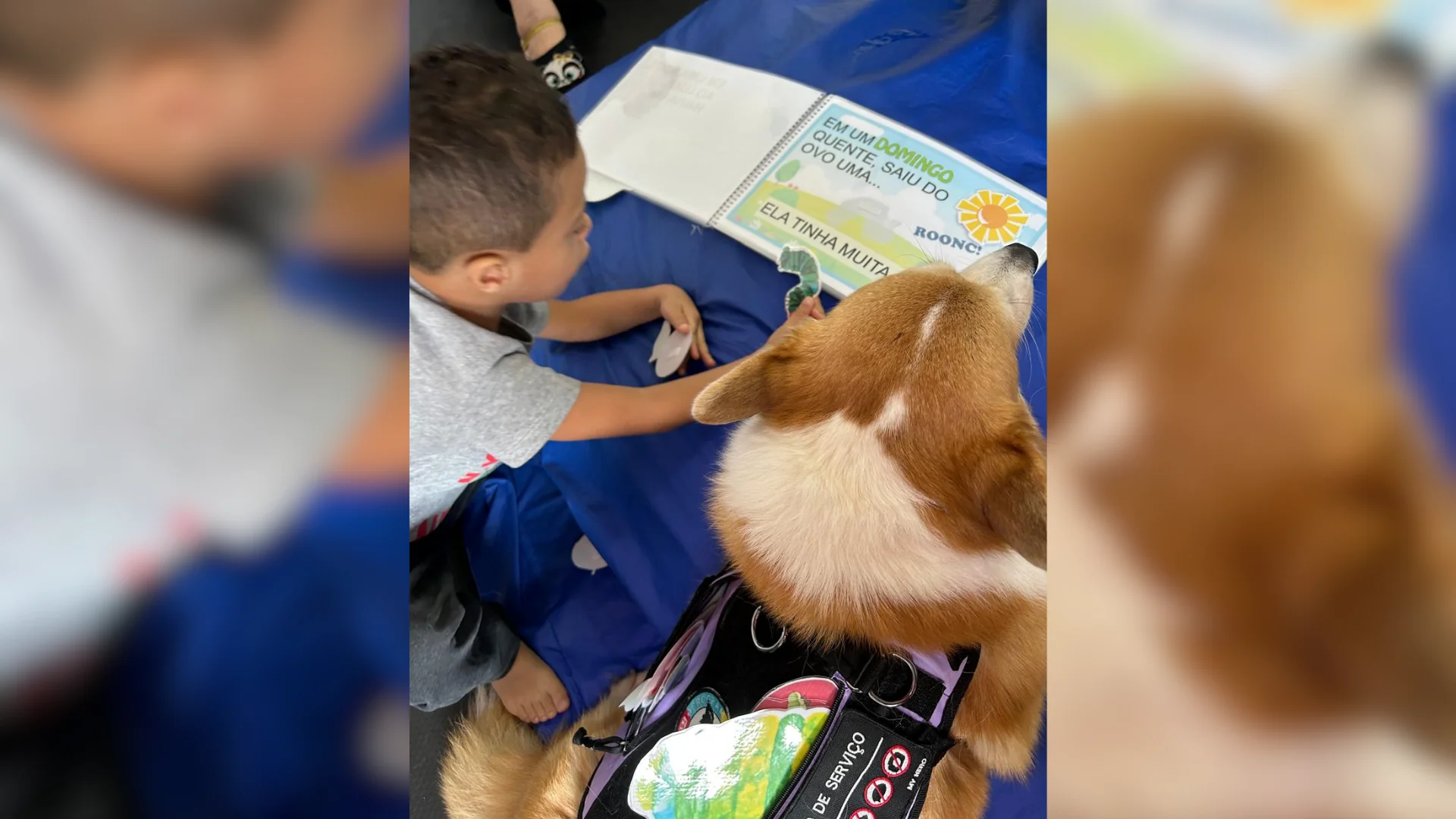 Convivência com animais pode auxiliar crianças neurodivergentes, mas requer cuidados, destaca psicóloga