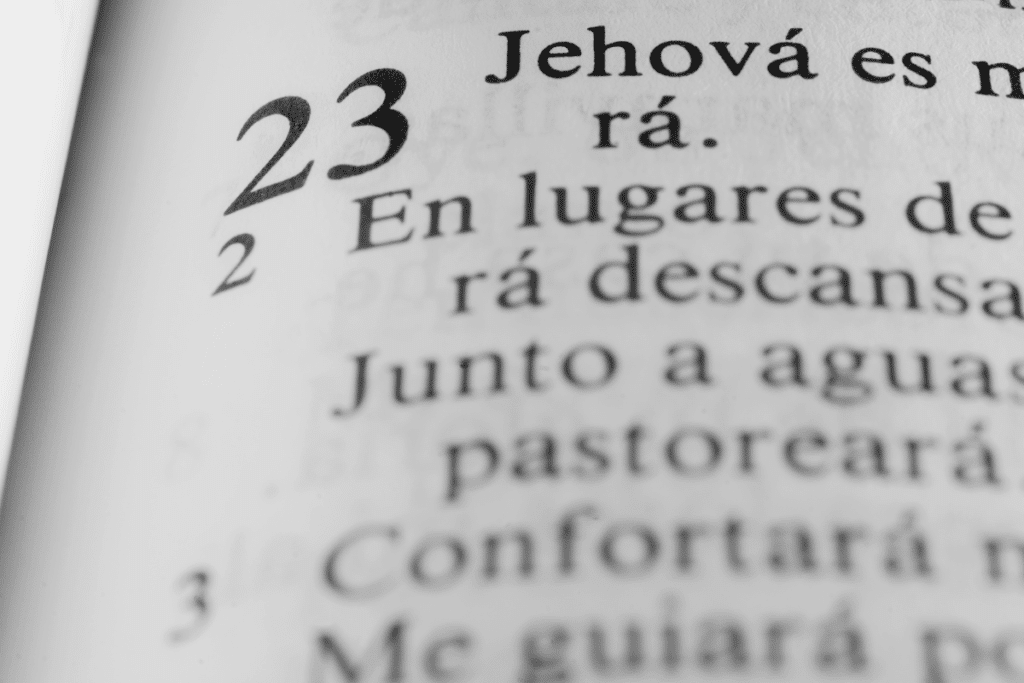 Está passando por um momento difícil? Este salmo pode ajudar a renovar sua força e esperança
