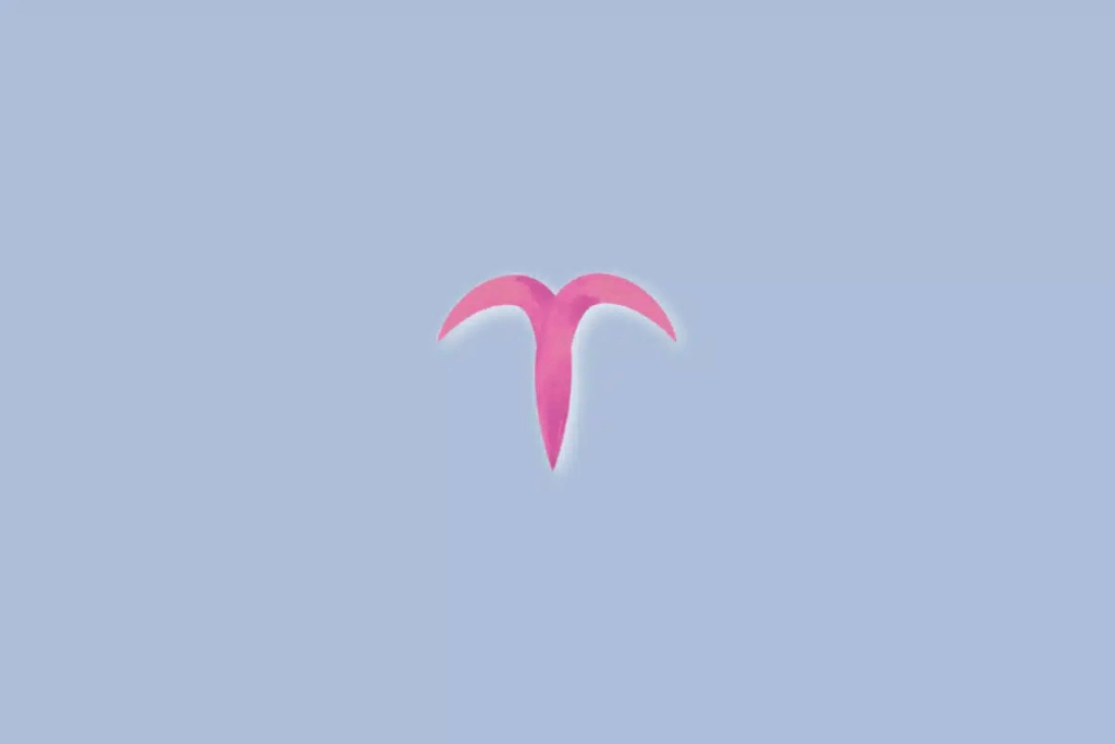 Tarot do dia: previsão para os 12 signos em 05/09/2026