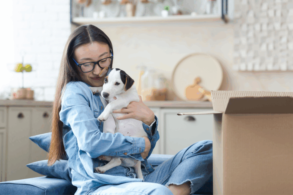 Seu pet tem uma pessoa favorita? Confira os fatores que influenciam o vínculo com os humanos