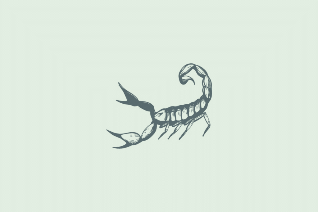 Ilustração em traço de um escorpião de perfil, com a cauda curvada para cima e as pinças à frente, representando o signo de Escorpião, sobre fundo verde-claro.