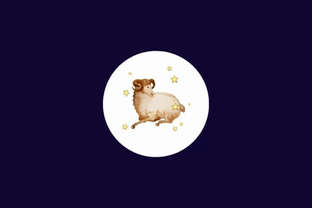 Tarot do dia: previsão para os 12 signos em 25/10/2026