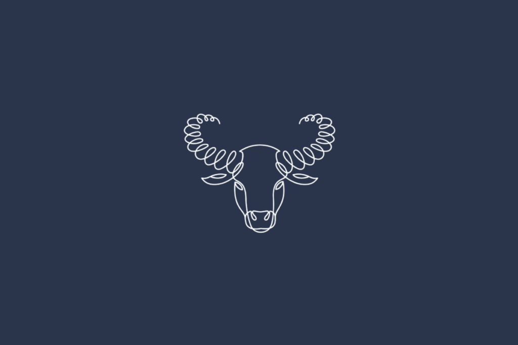 Ilustração linear branca do signo de Touro sobre fundo azul-marinho uniforme. O desenho representa a cabeça de um touro vista de frente, com chifres grandes e curvados para cima e para os lados, além de orelhas laterais, olhos pequenos e focinho largo. O contorno do rosto é simétrico e formado por linhas finas e curvas que delineiam os olhos, o nariz e a boca.